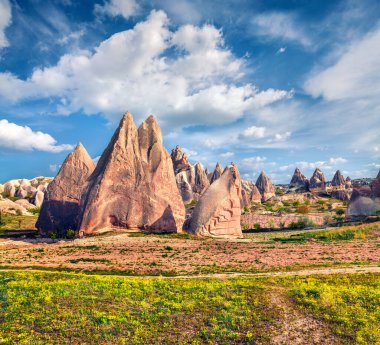 Cappadocia 'nın güzel bir bahar sahnesi. Nisan ayındaki Kırmızı Gül Vadisi manzarası. Nevsehir ilçesinin bulunduğu Cavusin köyü, Türkiye, Asya. Seyahat konsepti arka planı.