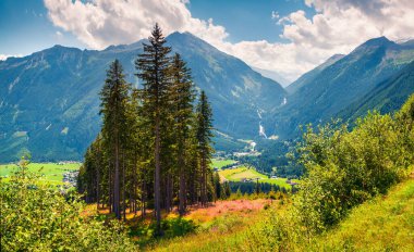 Avusturya Alpleri 'ndeki Gerlos geçidi, Krimmml şelalesi ve Salzachtal ormanının güneşli sabah manzarası, Zell am See bölgesi, Avusturya, Avrupa' daki Salzburg eyaleti. İşlenmiş fotoğraf sonrası sanatsal stil.