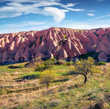 Cappadocia 'nın harika yaz manzarası. Nisan ayındaki Kırmızı Gül Vadisi 'nin muhteşem sabah manzarası. Nevsehir ilçesinin bulunduğu Cavusin köyü, Türkiye, Asya. Seyahat konsepti arka planı.