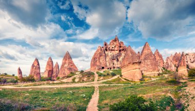 Cappadocia 'nın harika bahar sahnesi. Nisan ayındaki Kırmızı Gül Vadisi manzarası. Nevsehir ilçesinin bulunduğu Cavusin köyü, Türkiye, Asya. Seyahat konsepti arka planı.