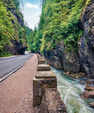 Bicaz Canyon / Cheile Bicazului 'nin muhteşem yaz manzarası. Harghita County, Romanya, Avrupa 'nın etkileyici sabah manzarası. Seyahat konsepti arka planı.