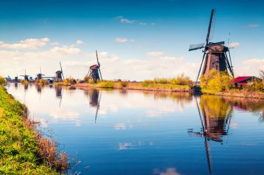 Hollanda 'daki Kinderdijk Müzesi' ndeki ünlü zihin değirmenleri. Kırsal kesimde güneşli bir bahar sabahı. Hollanda, Avrupa 'da renkli bir açık hava sahnesi. UNESCO Dünya Mirası Alanı. İşlenmiş fotoğraf sonrası sanatsal stil.