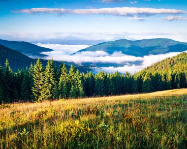 Karpat Dağları 'nın muhteşem yaz manzarası. Ukrayna 'daki dağ vadisinin, Tatariv köyünün Avrupa' daki manzarası. Doğa konseptinin güzelliği.
