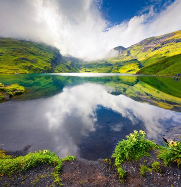 Bachalpsee Gölü 'nün renkli yaz manzarası. İsviçre Bernese Alpleri 'nde yeşil sabah manzarası, Grindelwald köyü, İsviçre, Avrupa. Doğa konseptinin güzelliği.