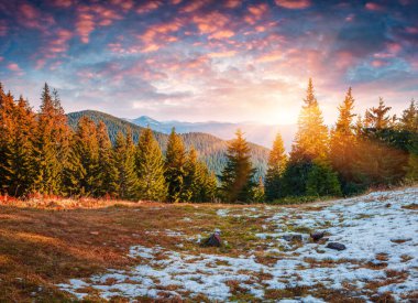 Dağ ormanına ilk kar yağacak. Karpatlar, Ukrayna, Avrupa 'da renkli sonbahar gündoğumu. İşlenmiş fotoğraf sonrası sanatsal stil.