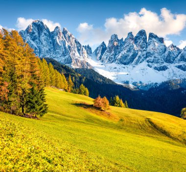 Great view of Santa Maddalena village hills in front of the Geisler or Odle Dolomites Group. Colorful autumn scene of Dolomite Alps, Italy, Europe. Beauty of countryside concept background. clipart