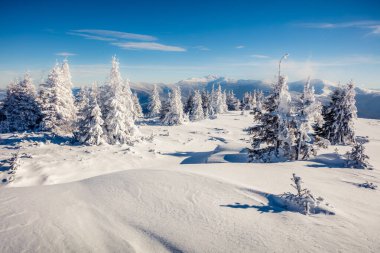 Dağ ormanında güneşli bir sabah manzarası. Karlı ormanda parlak kış manzarası, mutlu yeni yıl kutlaması konsepti. İşlenmiş fotoğraf sonrası sanatsal stil.