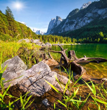 Vorderer Gosausee gölünde güzel bir yaz sabahı. Avusturya Alpleri 'nde renkli bir açık hava sahnesi, Yukarı Avusturya' daki Gosau Vadisi 'nde Salzkammergut tatil beldesi. İşlenmiş fotoğraf sonrası sanatsal stil.