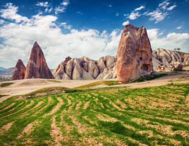 Cappadocia 'nın renkli bahar manzarası. Nisan ayındaki Kırmızı Gül Vadisi manzarası. Nevsehir ilçesinin bulunduğu Cavusin köyü, Türkiye, Asya. Seyahat konsepti arka planı.