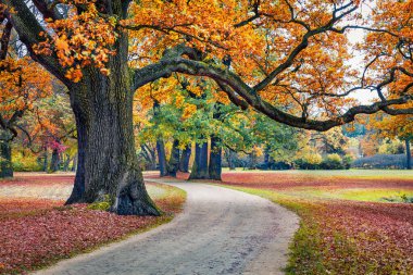 UNESCO Dünya Mirası Bölgesi Muskau Parkı 'nın çarpıcı sonbahar manzarası. Bad Muskau şehir meydanı, Yukarı Lusatia bölgesi, Saksonya, Almanya, Avrupa. 