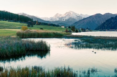 Arka planda Ortler zirvesi olan Haidersee 'nin (Lago della Muta) puslu sonbahar sahnesi. İtalyan Alpleri, İtalya, Avrupa 'nın muhteşem sabah manzarası. Instagram filtre tonu