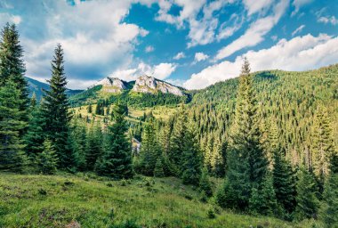 Pietrele Albe 'nin dağ zirvesinin muhteşem sabah manzarası. Yeşil yaz manzaralı Apuseni Doğal Parkı, Cluj County, Romanya, Avrupa. Doğa konseptinin güzelliği.
