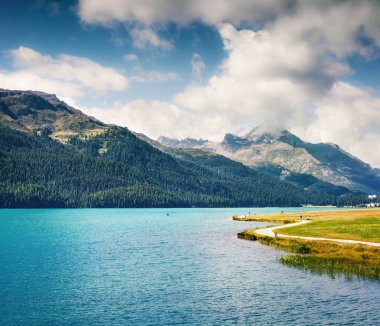Sils Gölü 'ndeki parkta güneşli bir yaz sabahı. İsviçre Alpleri, Sondrio Bölgesi Lombardiya Bölgesi, İtalya, Avrupa 'da harika bir açık hava sahnesi. İnstagram filtre tonu.