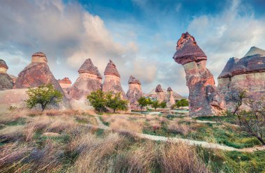 Asya 'nın Orta Anadolu Bölgesi' nde Nevsehir ilinin Kapadokya ilçesi Cavusin köyü yakınlarındaki kanyonda etkileyici mantar formları. Doğa konseptinin güzelliği.