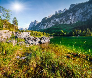Vorderer Gosausee gölünde güzel bir yaz sabahı. Avusturya Alpleri 'ndeki renkli açık hava sahnesi, Yukarı Avusturya' daki Gosau Vadisi 'ndeki Salzkammergut tatil beldesi,.