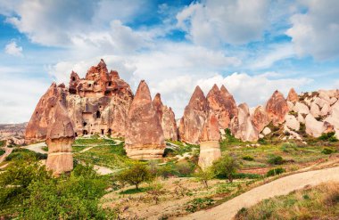 Cappadocia 'nın muhteşem bahar sahnesi. Nisan ayındaki Kırmızı Gül Vadisi manzarası. Nevsehir ilçesinin bulunduğu Cavusin köyü, Türkiye, Asya. Seyahat konsepti arka planı.