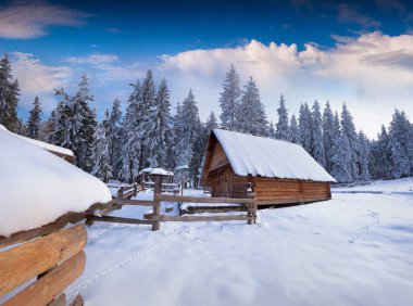 Karpatya 'nın terk edilmiş köyünde, köknar ağaçları karla kaplanmış harika kış manzarası. Renkli açık hava sahnesi, mutlu yeni yıl kutlaması konsepti. İşlenmiş fotoğraf sonrası sanatsal stil.