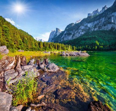 Vorderer Gosausee gölünde güzel bir yaz sabahı. Avusturya Alpleri 'nde renkli bir açık hava sahnesi, Yukarı Avusturya' daki Gosau Vadisi 'nde Salzkammergut tatil beldesi. İşlenmiş fotoğraf sonrası sanatsal stil.