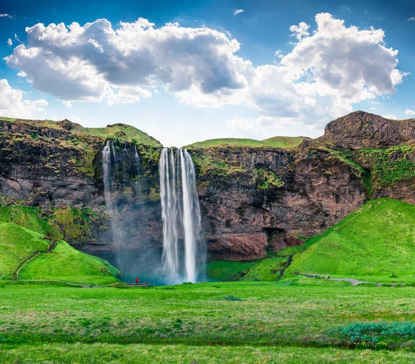 Φωτεινή Θέα Πρωί Seljalandfoss Καταρράκτη Στον Ποταμό Seljalandsa Καλοκαίρι Πολύχρωμο — Φωτογραφία Αρχείου