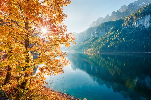 沃得勒 戈索西 湖壮丽的秋天风景 奥地利阿尔卑斯山 上奥地利 欧洲令人惊叹的晨景 自然美概念背景 — 图库照片