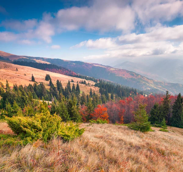 Krásná Venkovní Scéna Karpatských Horách Barevná Podzimní Krajina Pohoří Svydovets — Stock fotografie