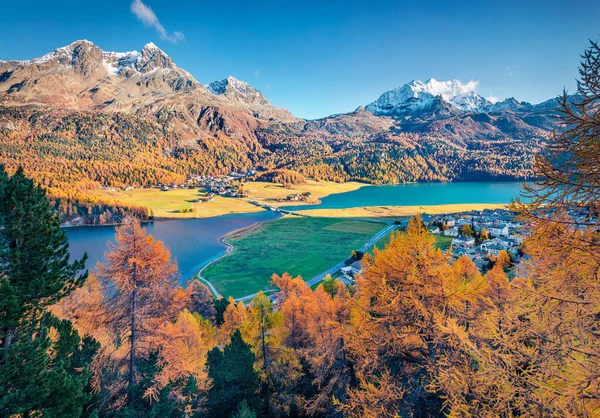 Maloja Bölgesindeki Silvaplana Köyünün Güzel Sonbahar Manzarası Sviçre Alpleri Nin — Stok fotoğraf