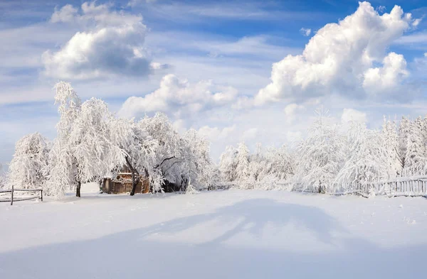 喀尔巴阡山村冬季风景秀丽 大雪过后 花园里阳光明媚的户外景致 欢度新年 艺术风格经处理后的照片 — 图库照片