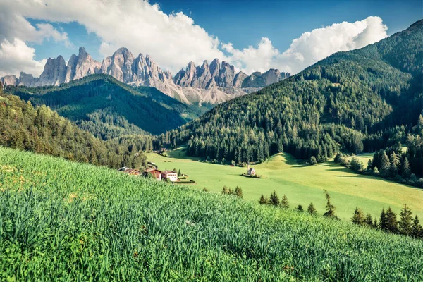 圣马格达莱纳村美丽的晨景 位于意大利南蒂罗尔博尔萨诺的多洛米提阿尔卑斯山背景的富尼斯谷 维诺布 令人叹为观止的夏季风景 — 图库照片