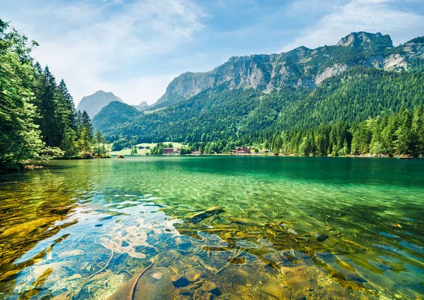 Zapierająca Dech Piersiach Letnia Scena Jeziora Hintersee Fantastyczny Poranny Widok — Zdjęcie stockowe