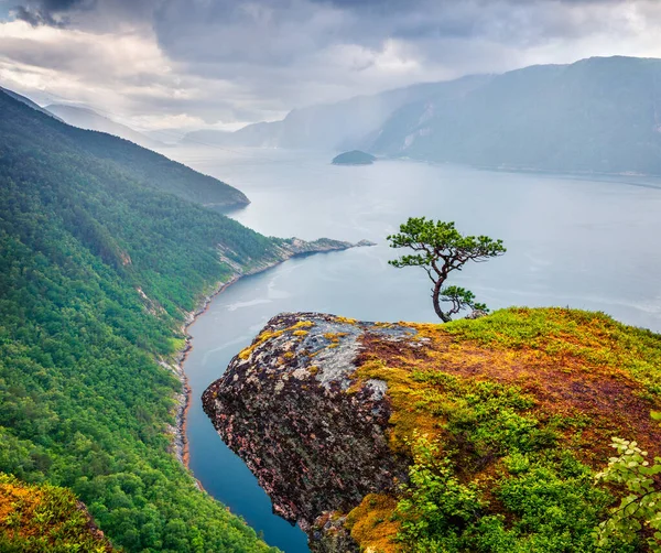 Vista Mattutina Piovosa Tingvollfjorden Flord Comune Sunndal Nella Contea More — Foto Stock