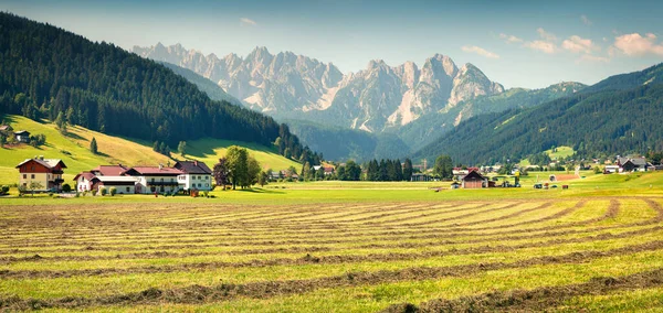 Travaux Agricoles Dans Les Champs Vallée Des Alpes Autrichiennes Journée — Photo