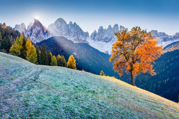 山の中で最初の霜 ガイスラーまたはオドルドロマイトグループの前にあるサンタ マグダレナ村のカラフルな秋の景色 ドロマイトアルプスの霜の朝のシーン イタリア ヨーロッパ — ストック写真