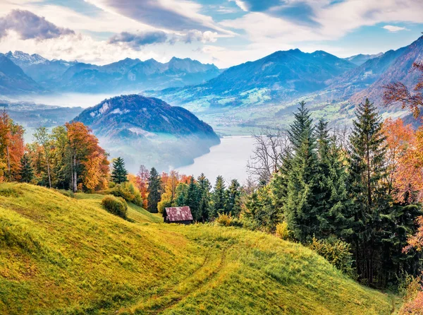 Misty Mañana Vista Las Afueras Ciudad Stansstad Suiza Europa Cautivante — Foto de Stock