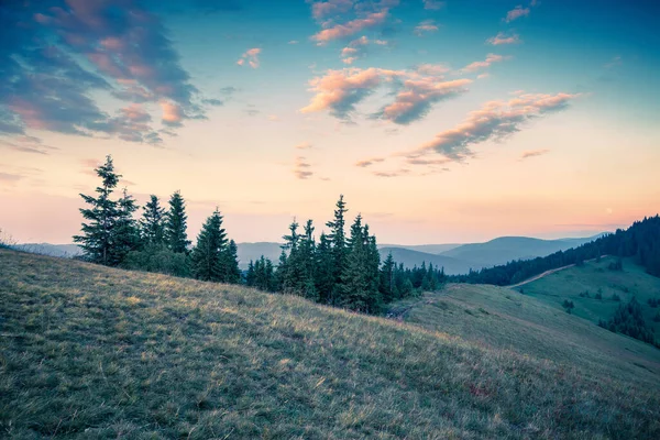 Dağlarda Güzel Bir Yaz Günbatımı Karpatlar Ukrayna Avrupa Bir Tepe — Stok fotoğraf