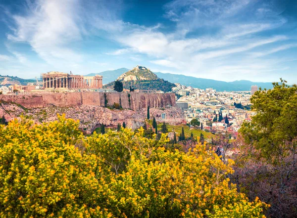 Великий Вид Парфенон Колишній Храм Афінський Акрополь Греція Європа Барвисті — стокове фото