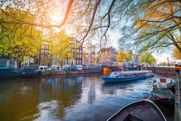 Voorjaarsscene Amsterdam Stad Rondvaarten Boot Beroemde Nederlandse Grachten Kleurrijk Avondlandschap — Stockfoto