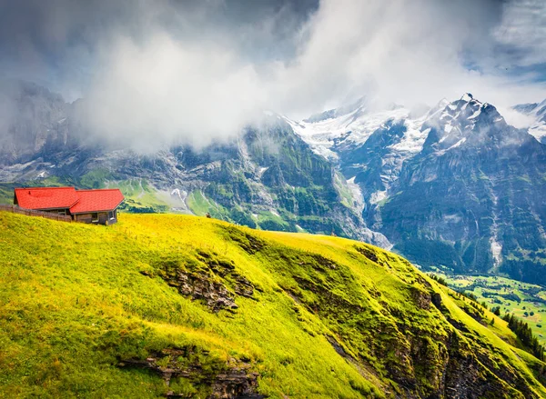 Foggy Summer View Top Grindelwald First Cableway Schreckhorn Mountain Morning — Stock Photo, Image