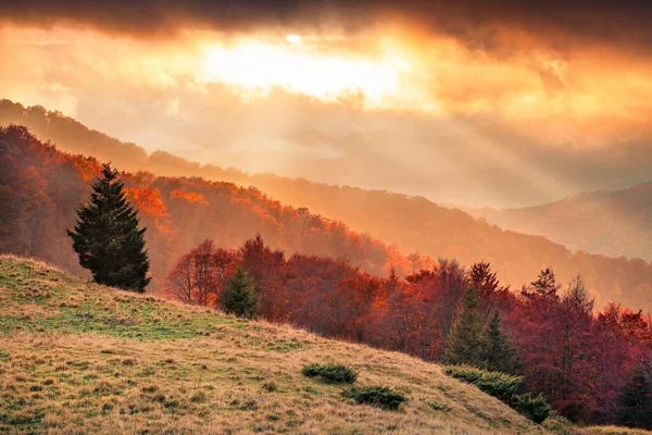 Inacreditável Pôr Sol Outono Vale Montanha Vista Colorida Noite Montanha — Fotografia de Stock