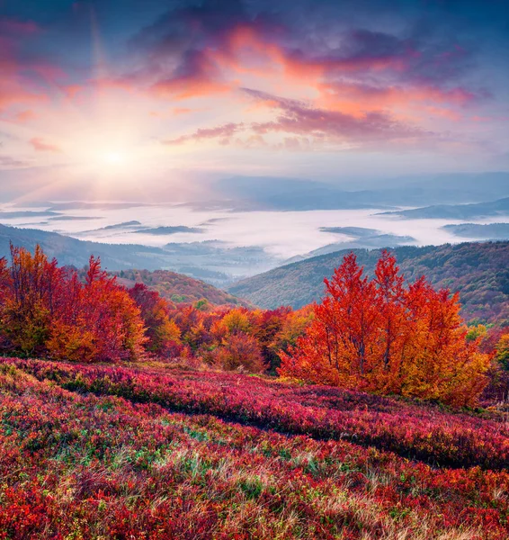 Fantastische Farben Herbstlandschaft Den Karpaten Herrlicher Sonnenaufgang Den Bergen Ukraine — Stockfoto