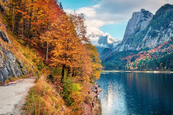 以达什坦冰川为背景的Vorderer Gosausee湖的令人振奋的秋季场景 奥地利阿尔卑斯山 上奥地利 欧洲的壮丽的晨景 旅行概念背景 — 图库照片