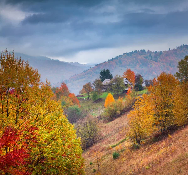 Barevná Venkovská Scéna Vesnici Kvasy Zakarpatská Ukrajina Evropa Krásná Podzimní — Stock fotografie