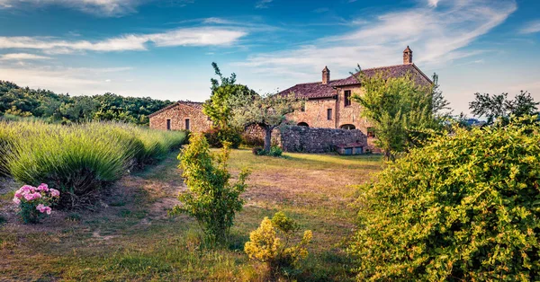 Sommer Panoramablick Auf Den Klassischen Toskanischen Garten Malerische Morgenszene Italienischer — Stockfoto