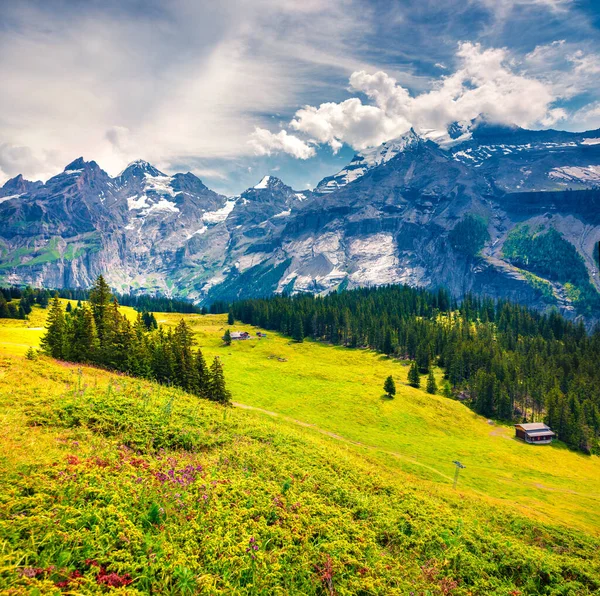 Oeschinen湖からの山の谷の晴れた夏の景色 スイスアルプスのカラフルな朝のシーン Kandersteg村の場所 ベルン州 スイス ヨーロッパ 自然の概念の背景の美しさ — ストック写真