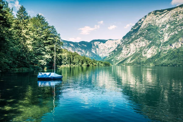 Première Surface Lumineuse Lac Bohinj Belle Scène Estivale Parc National — Photo