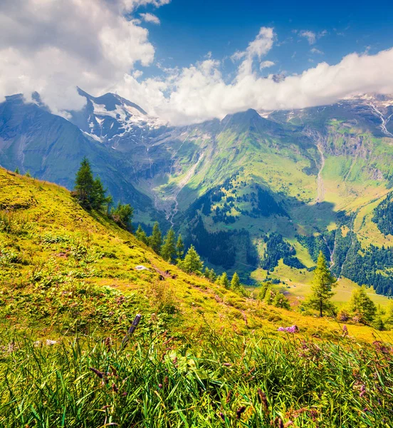 Letni Widok Rano Grossglockner Pasmo Górskie Grossglockner High Alpine Road — Zdjęcie stockowe