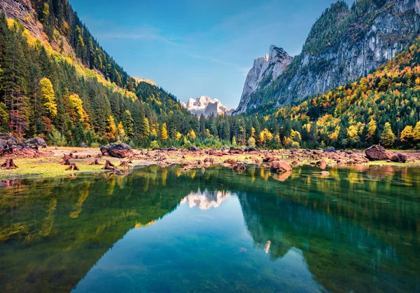 보이지 방랑자 호수의 슈타인 배경에 오스트리아 알프스 오스트리아 자연의아름다움 — 스톡 사진