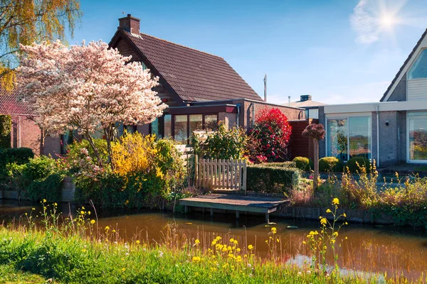 Zonnig Voorjaarsuitzicht Het Typisch Hollandse Platteland Kleurrijke Ochtendscene Het Stadje — Stockfoto