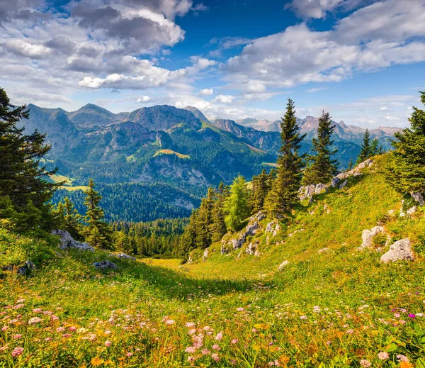 Widok Góry Kolejki Linowej Nad Jeziorem Konigsee Grzbiecie Górskim Schneibstein — Zdjęcie stockowe