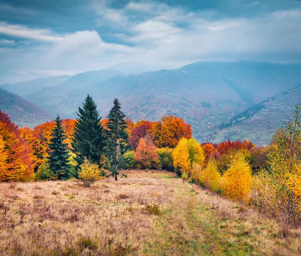 Scena Autunnale Variopinta Della Valle Montagna Incredibile Vista Mattutina Sulle — Foto Stock