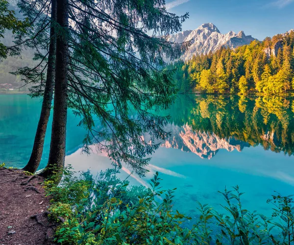 Ruhiger Morgen Blick Auf Den See Von Fusine Fantastische Sommerszene — Stockfoto